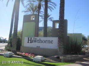 Hawthorne Link